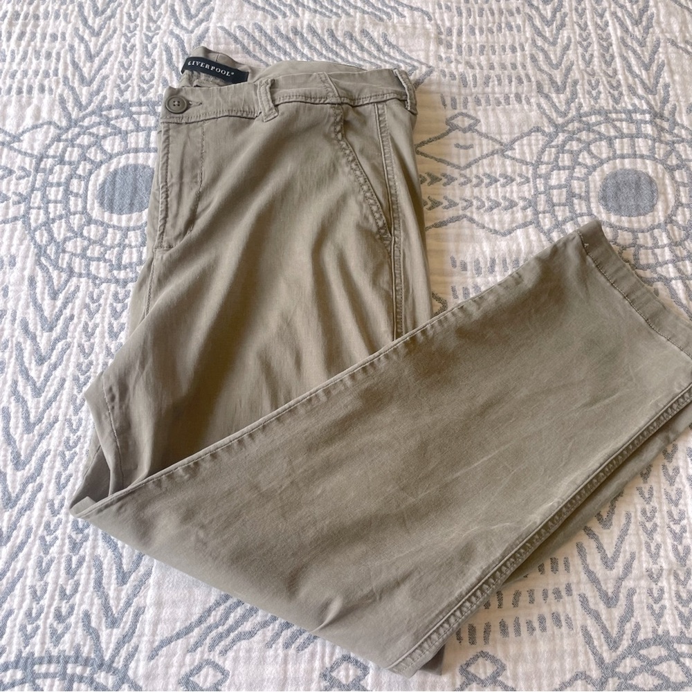 Liverpool- Shadow Green pants, size 14P, EUC.